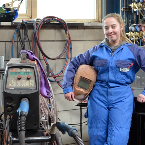 METAALTOPPER ENGELINA VAN DER STELT